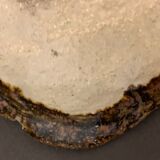 Glazed ceramic plate or cut