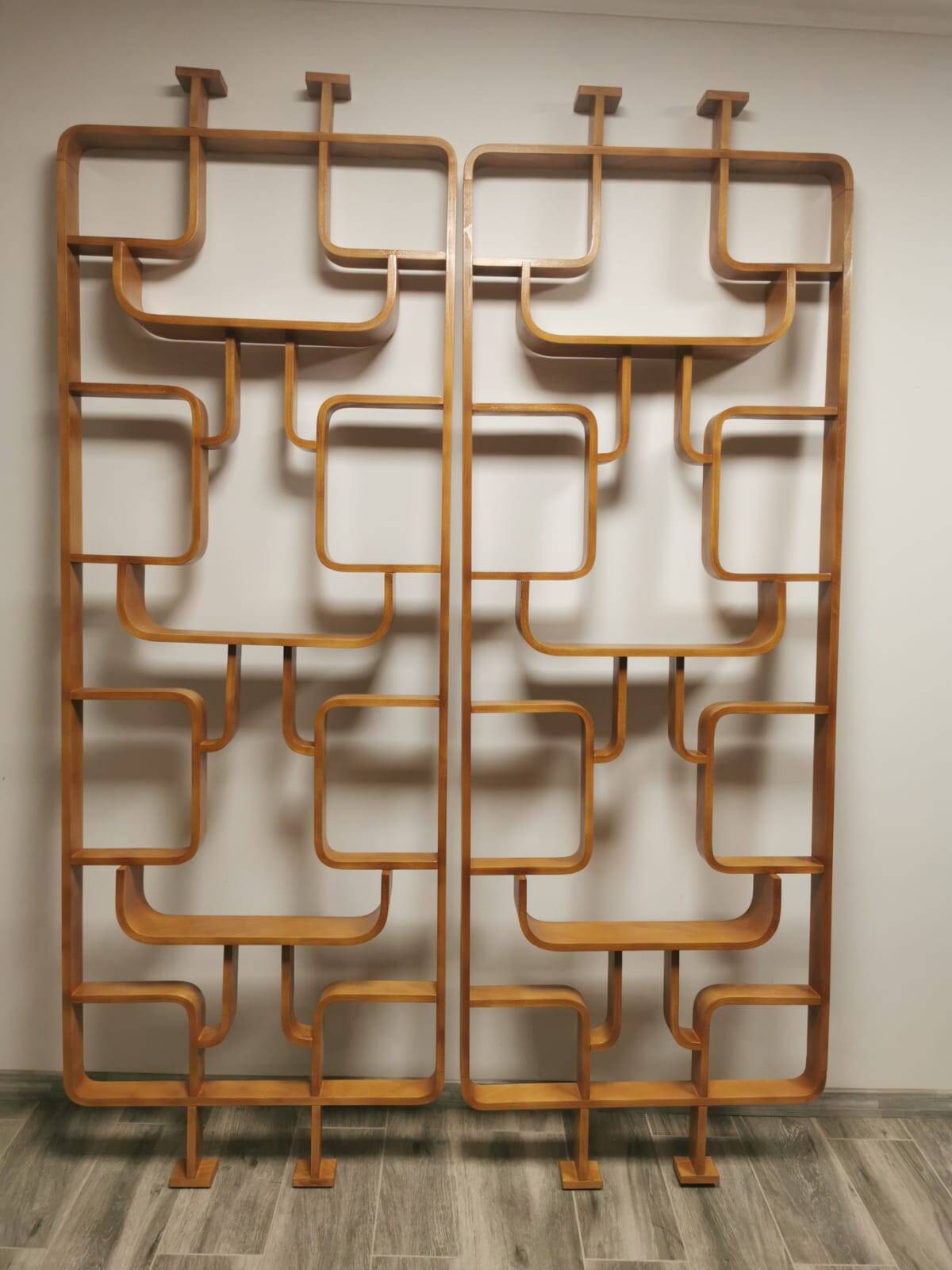 Room Dividers by Ludvik Volak for Drevopodnik Holesov, 1950s, Set of 2
