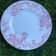 6 flat plates iron earth snowball St Amand