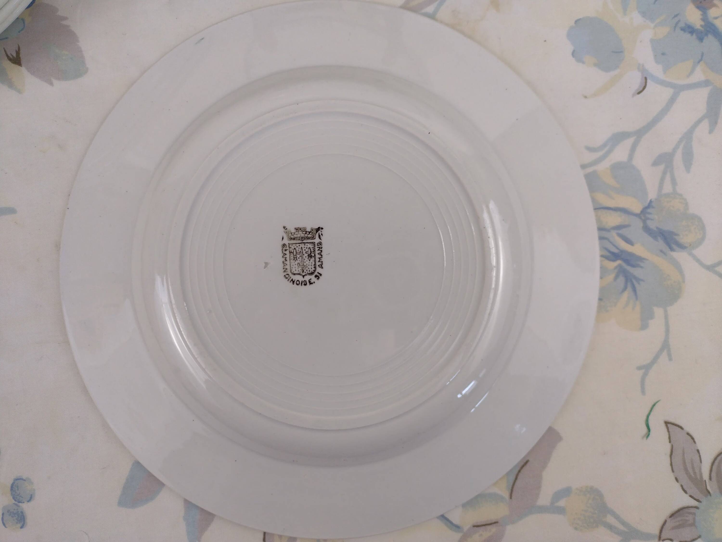 6 St Amandinoise two-tone flat plates