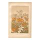Planche Botanique de  1889 - Centaurée par Lefevre. Gravure ancienne nature