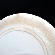 Sarreguemines dessert service 12 plates opaque earthenware bamboo polychrome Asian Chinese decor