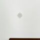 Tulipan Wall Lamp by J.T. Kalmar