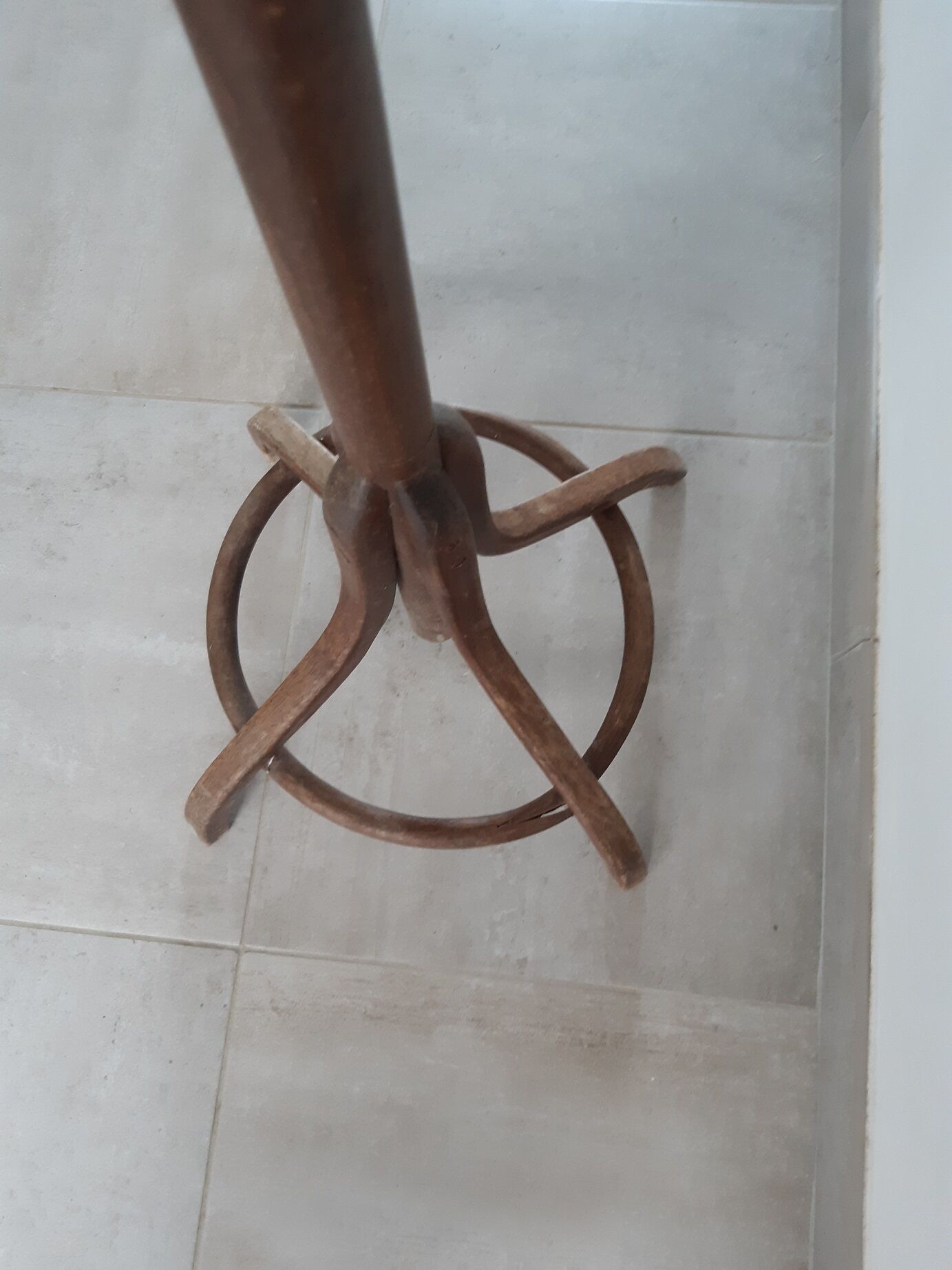 Old parrot coat rack
