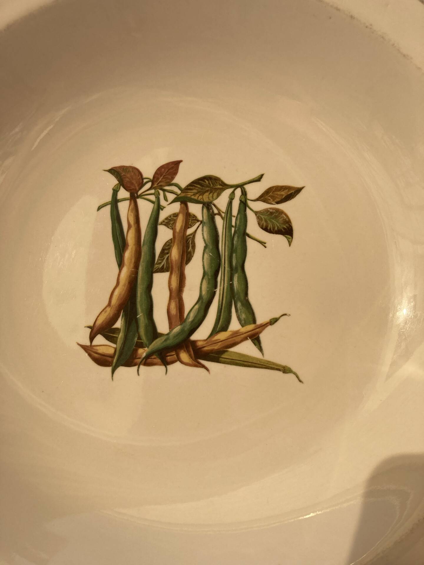 Fireproof porcelain serving dish Gien France botanical pattern