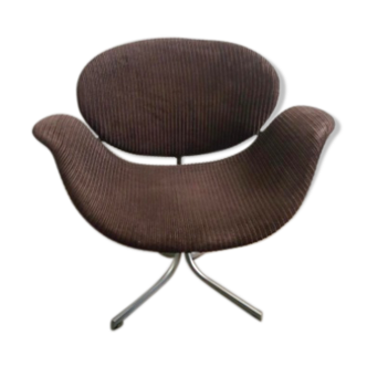 Little Tulip by Pierre Paulin for Artifort Chair, 1960 s