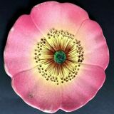 Art deco dabbling plate pink flower eglantine