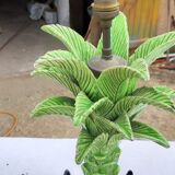 Ceramic lamp by Jean Roger France circa 1960