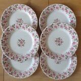 6 assiettes en terre de fer Gien