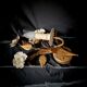 Paire d'appliques florale masca italie