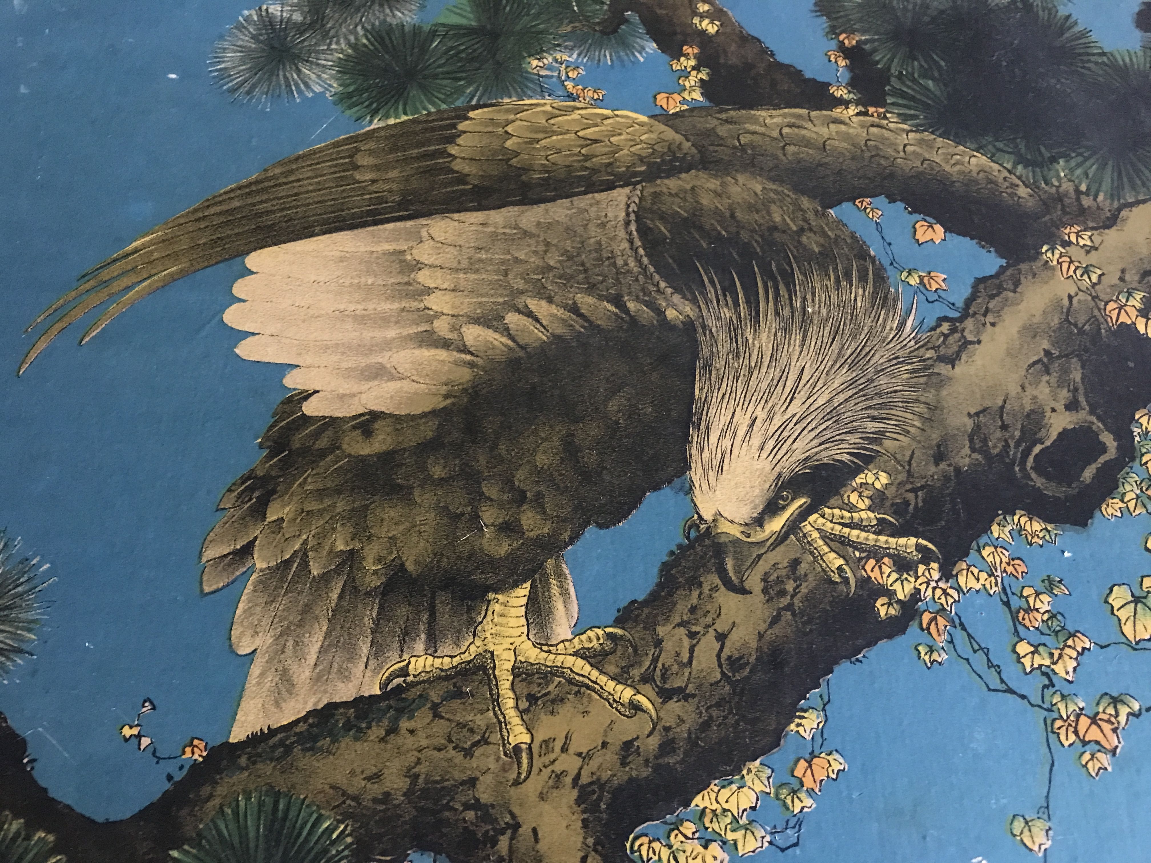 Old estampe of asia with polychrome decoration of eagle on a branch xixth