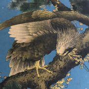 Ancienne estampe d’asie à décor polychrome d’aigle sur une branche xixème