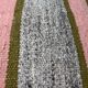 Housse de coussin kilim turc vintage, 40 x 40 cm