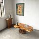 "Free-form" coffee table in solid elm.