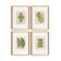 Collection of 4 abstract paintings in sage green signed Eawy.