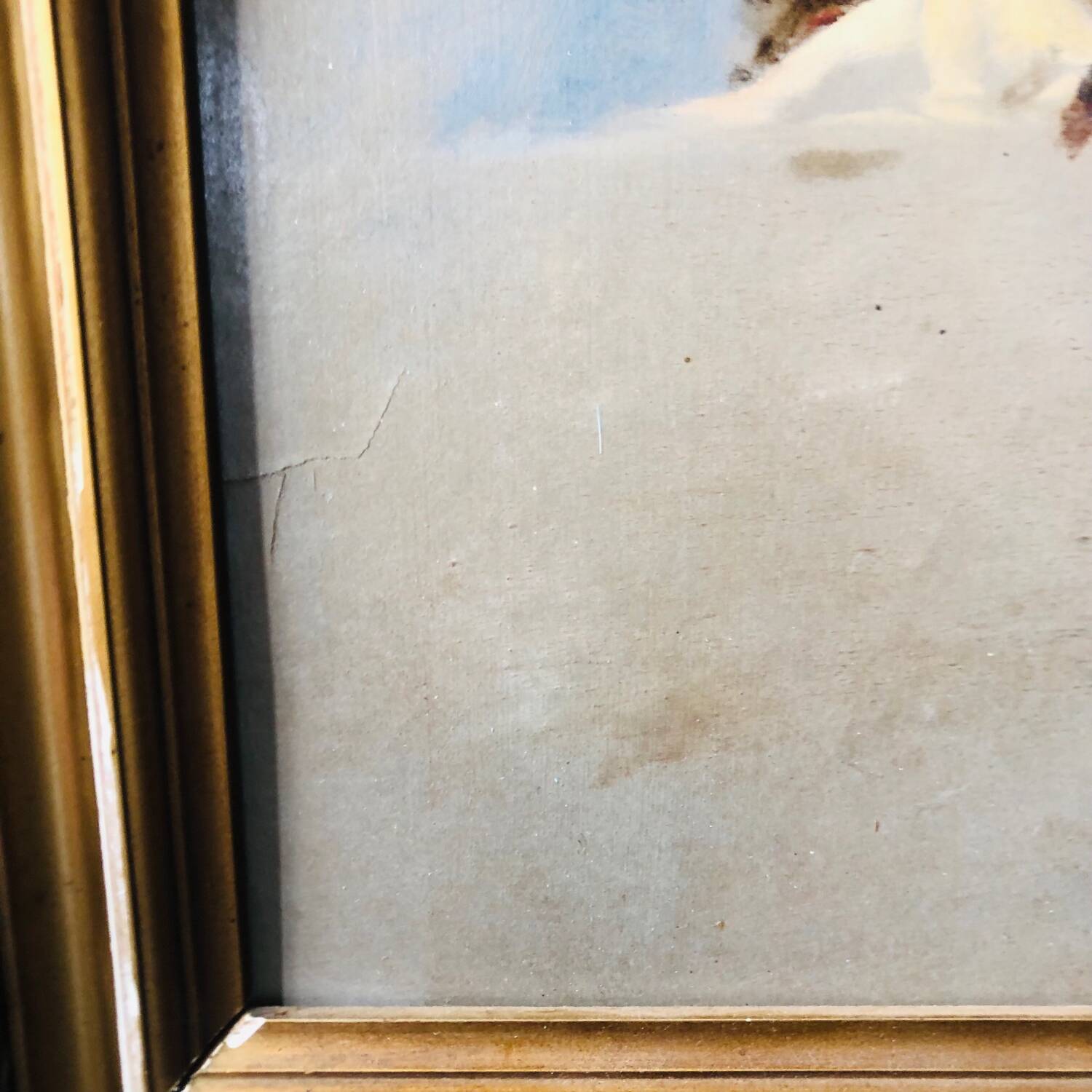 Portrait d’une jeune flamande