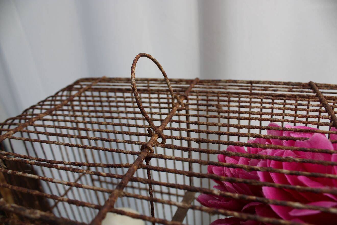 Old birdcage