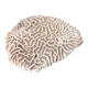 Natural white coral