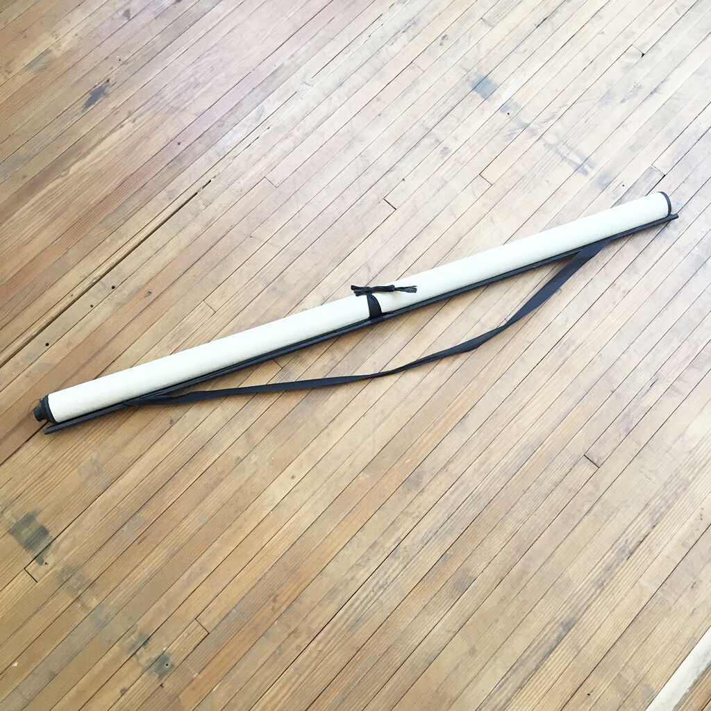 Displays the cuttlefish by Dr Auzoux