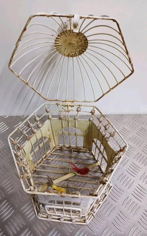Pair of vintage bird cages