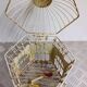 Paire de cage à oiseaux vintage