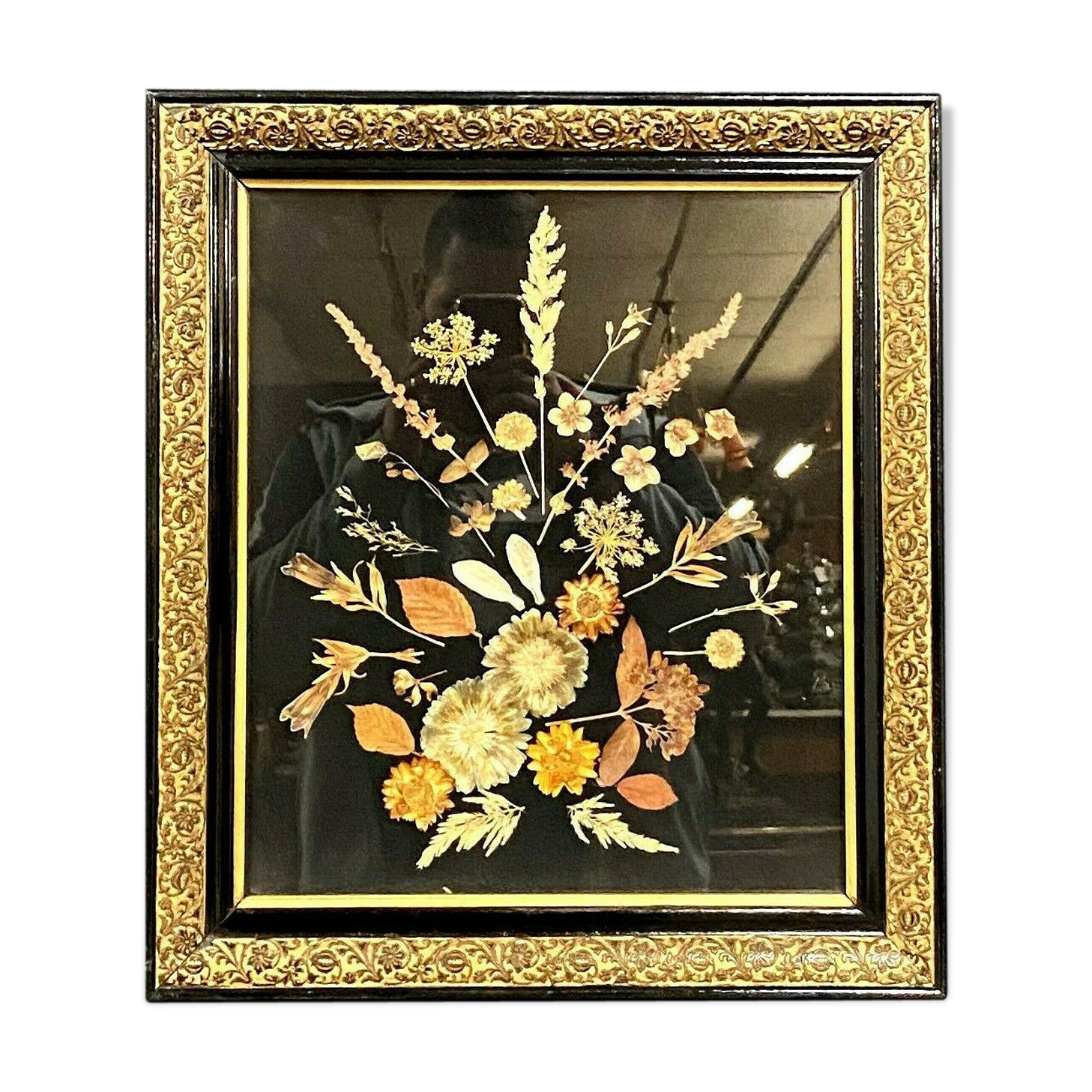 Herbarium painting made during the Napoleon III period around 1850