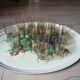 17 vintage stemmed glasses in smoked glass