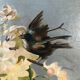 Huile sur toile fin XIXe, début XXe, Oiseaux branchés