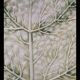 Cabbage leaf plate Barbotine