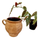 Ancien pot en terre cuite