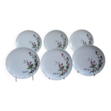 Assiettes à dessert porcelaine fine  de Bavière -botaniqu