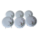 Assiettes à dessert porcelaine fine  de Bavière -botaniqu