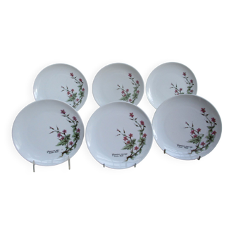 Fine porcelain dessert plates from Bavaria -botaniqu