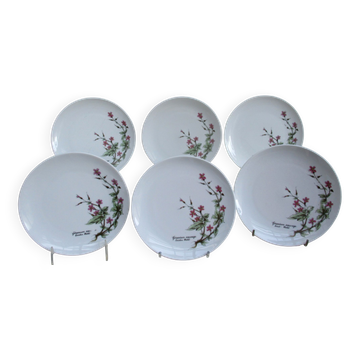Assiettes à dessert porcelaine fine  de Bavière -botaniqu