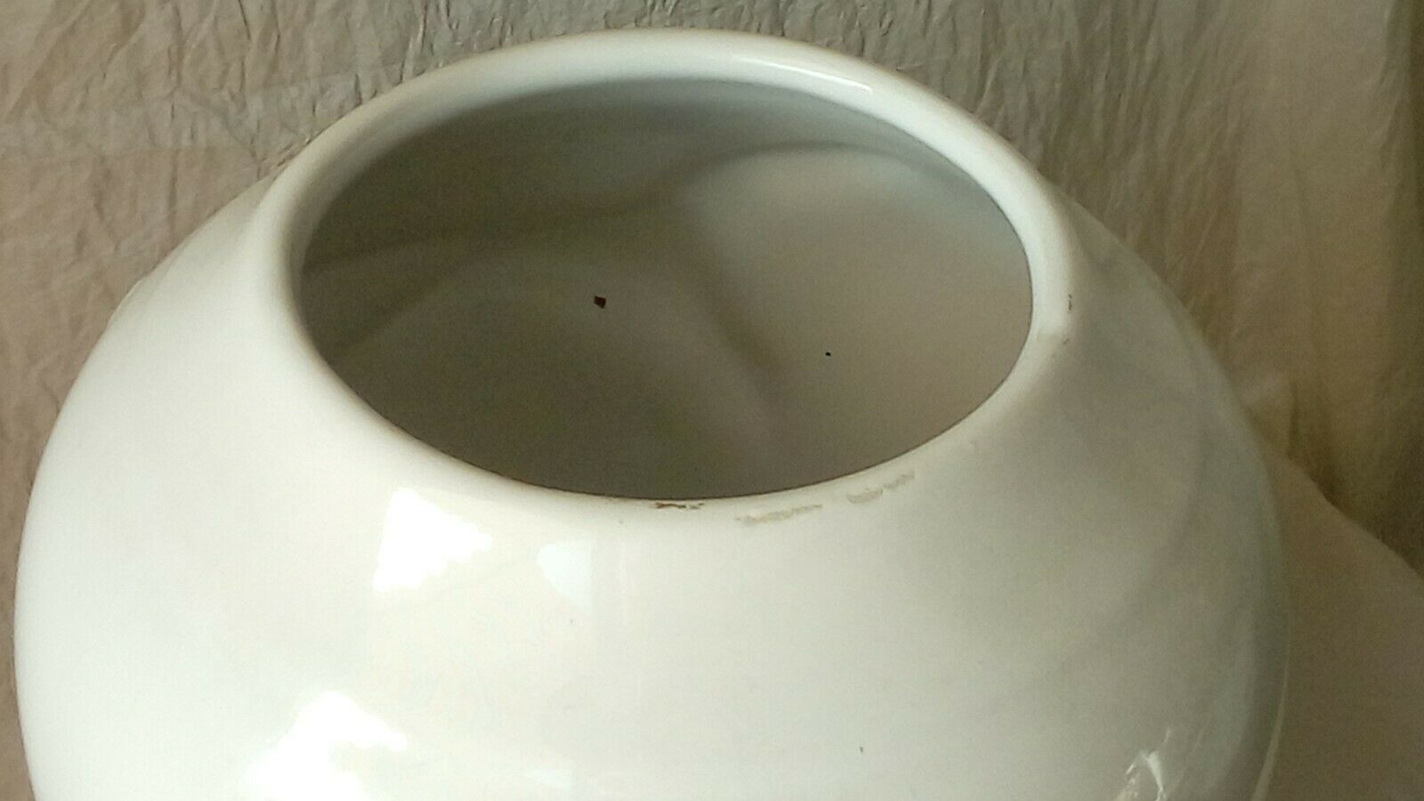 Porcelain vase thick white decor in relief duck flight