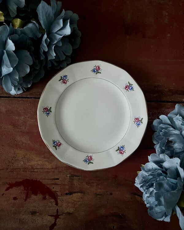 Assiettes et plat en véritable opaque Digoin Sarreguemines