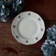 Assiettes et plat en véritable opaque Digoin Sarreguemines
