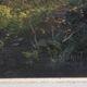 Landscape painting, oil on canvas signed L. Morin.