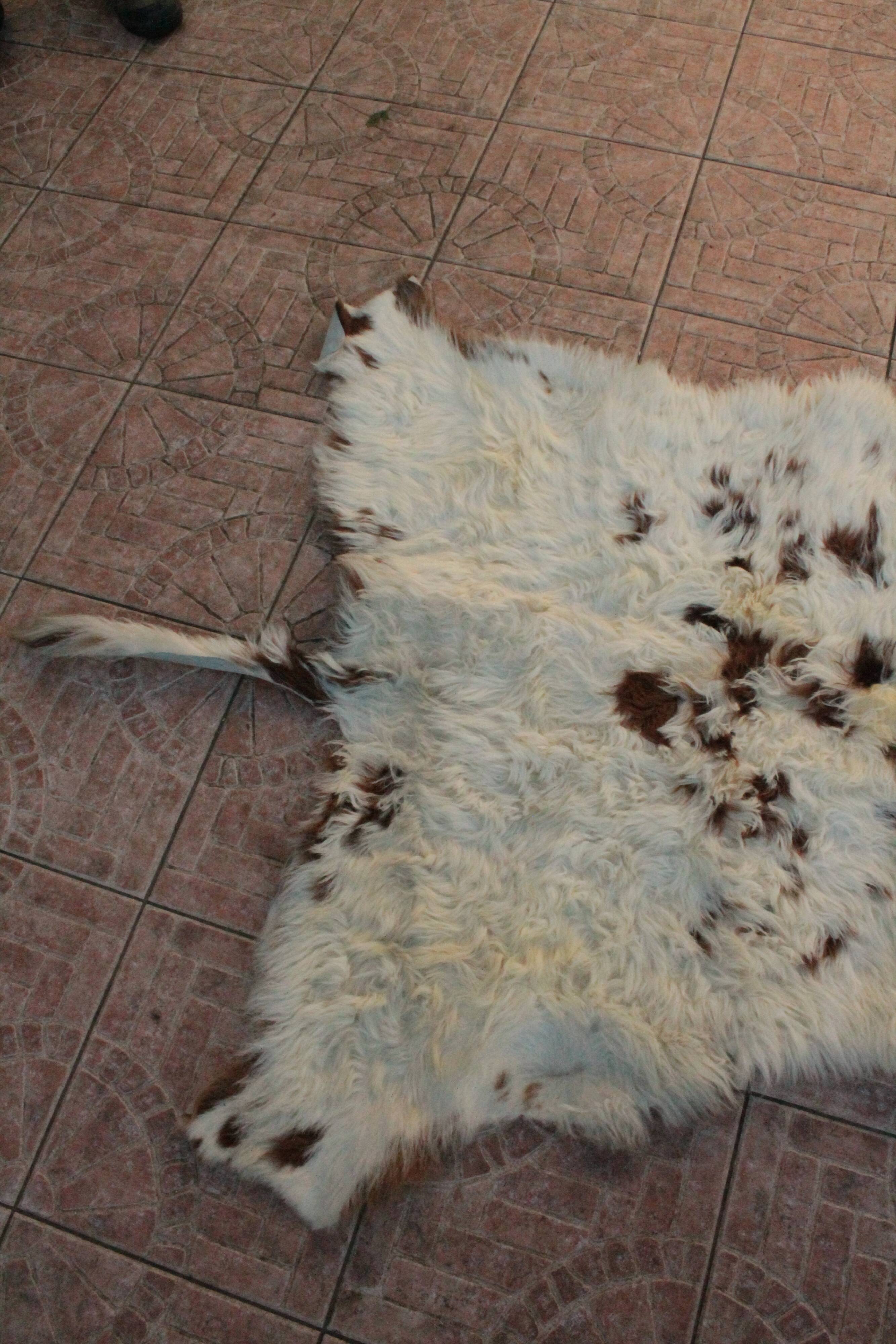 Cow skin mat 150 x 125 cm
