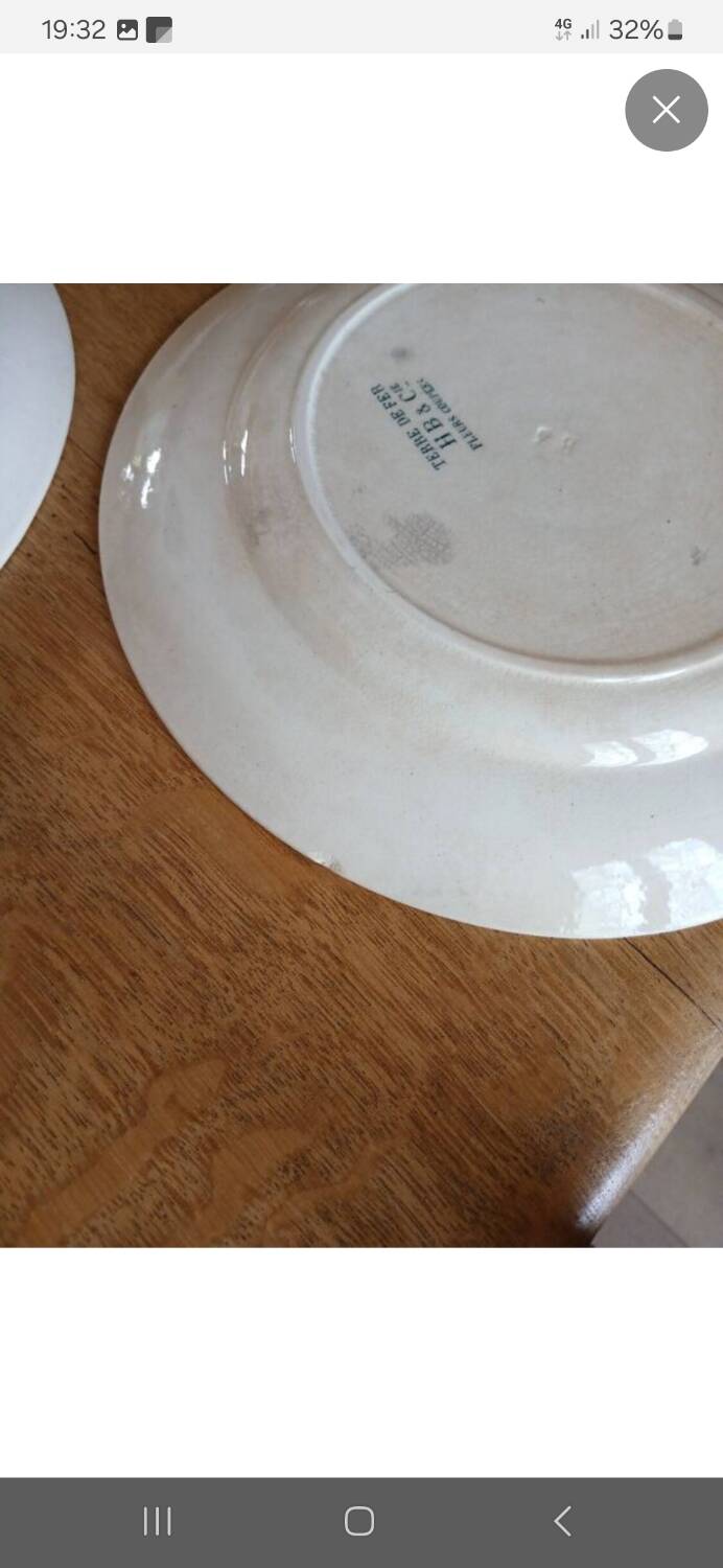 7 old flat plates Terre de fer
