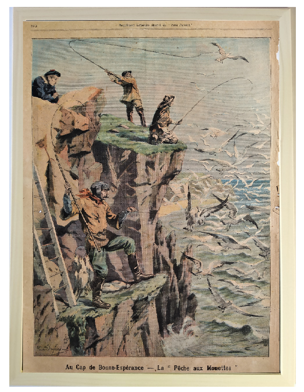 Au Cap de Bonne-Espérance en 1904