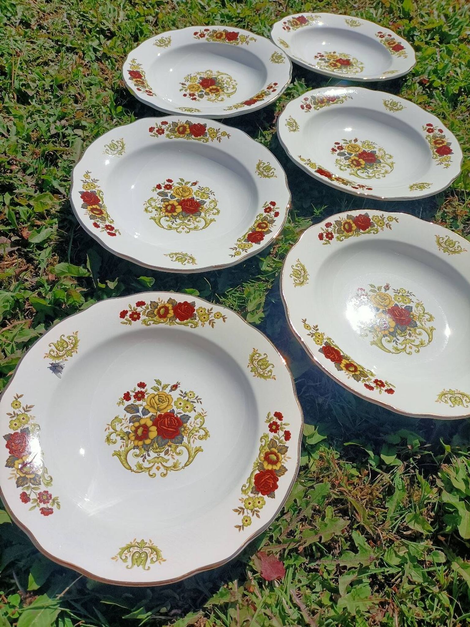 Assiettes creuses x6 Digoin Sarreguemines 💐