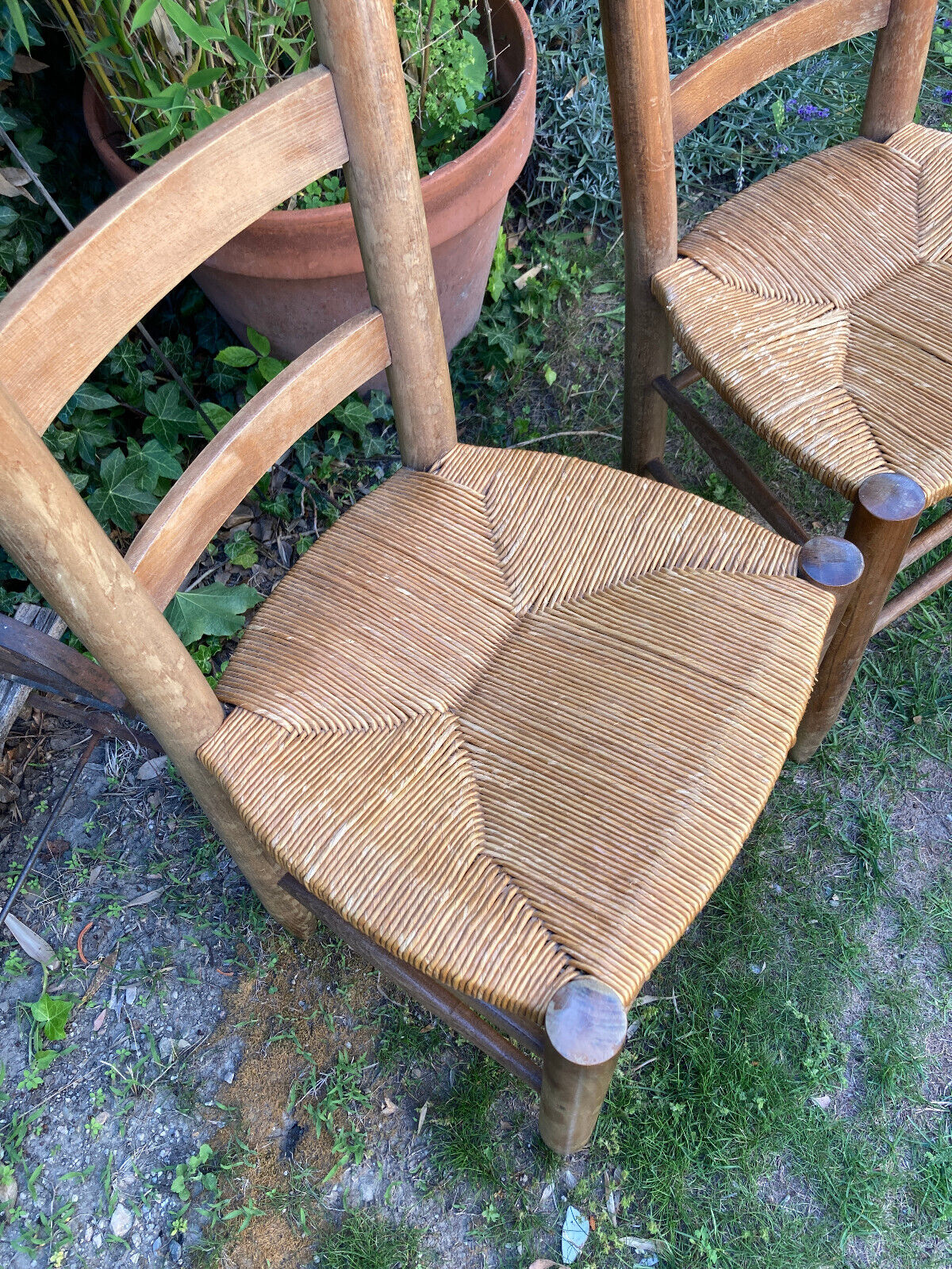 Pair of straw chairs