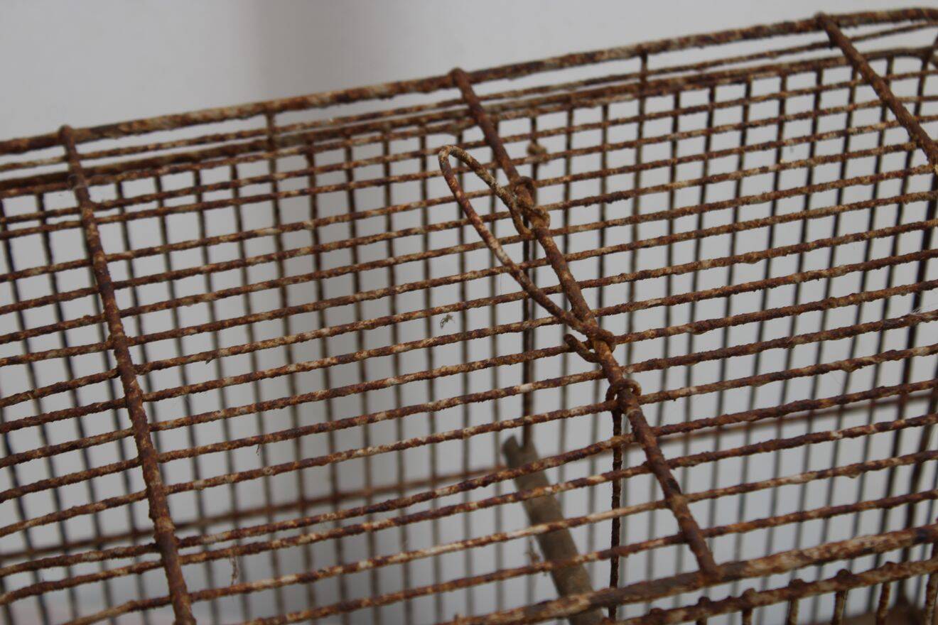 Old birdcage