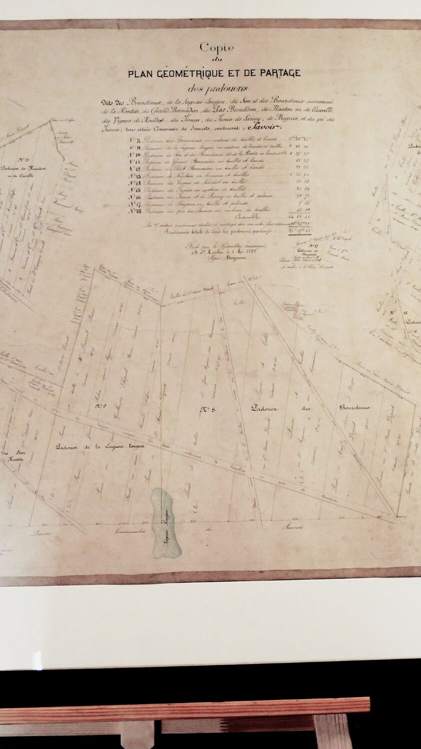 Plan cadastral "géométrique et de partage" de 1852 entoilé
