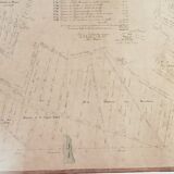 "geometric and sharing" cadastral plan of 1852 canvas