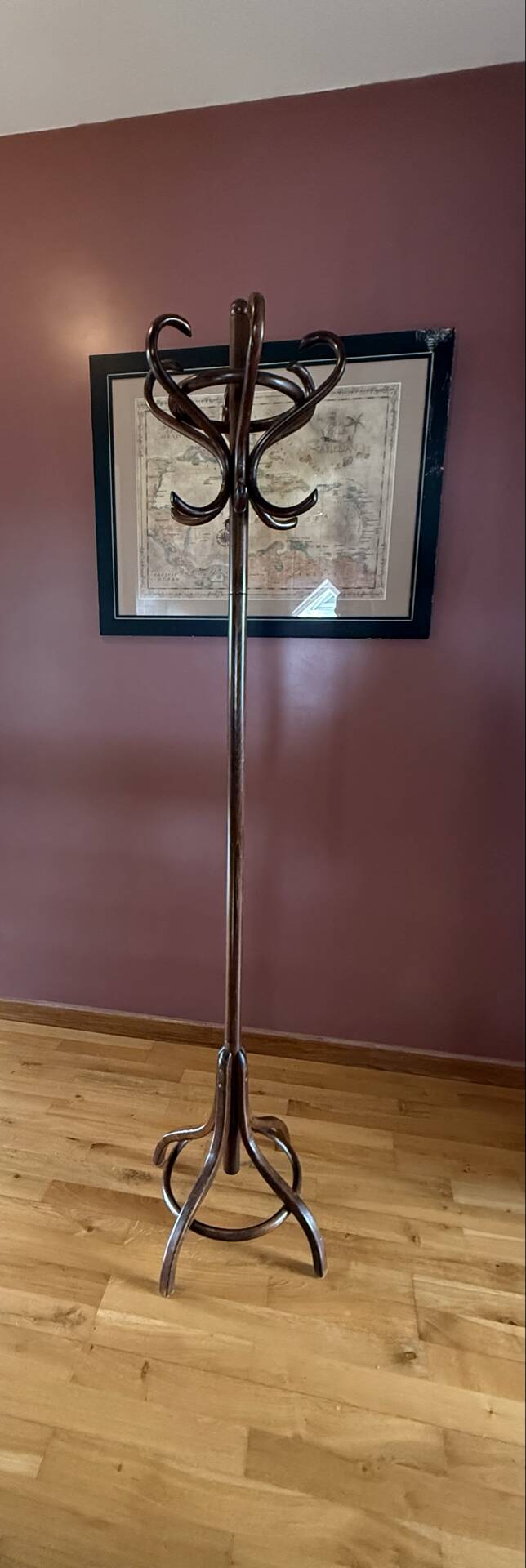 Free-standing coat rack in curved wood, parrot style Baumann or T.