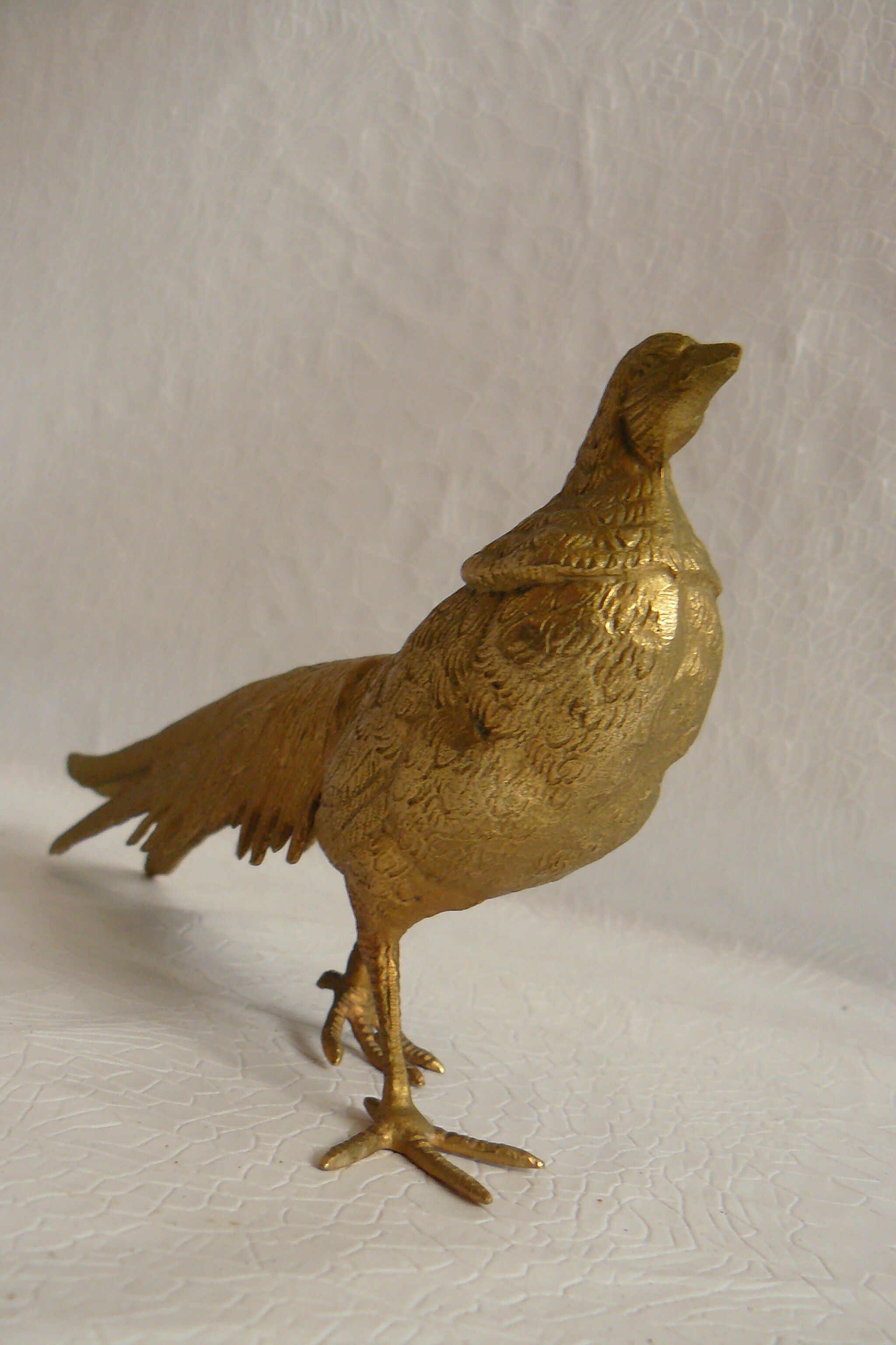 Pheasant golden brass