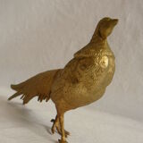 Pheasant golden brass