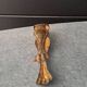 Antique sugar tongs with a system - Lion claws and Louis XV bow decoration.